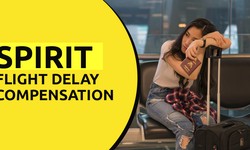 Spirit Flight Delay Compensation: What You Need to Know