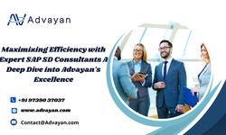 Maximizing Efficiency with Expert SAP SD Consultants A Deep Dive into Advayan’s Excellence