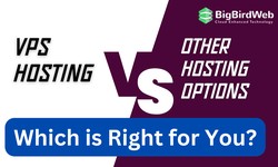 VPS Hosting vs. Other Hosting Options: Which is Right for You?