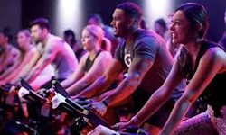 How Many Calories Can You Burn with Indoor Cycling in Berkeley?