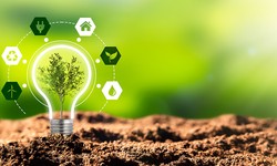 Low-Carbon Propulsion: The Role of Biofuels