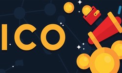 How Will ICO Development Influence Venture Capital Trends in 2024?