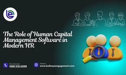 The Role of Human Capital Management Software in Modern HR