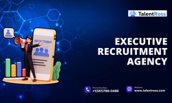 Enhancing Organizational Leadership with an Executive Recruitment Agency
