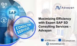 Maximizing Efficiency with Expert SAP SD Consulting Services — Advayan