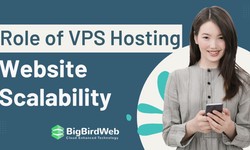 The Role of VPS Hosting in Website Scalability
