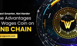 Invest Smarter, Not Harder: The Advantages of Wages on BNB Chain