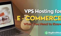 VPS Hosting for E-commerce: What You Need to Know