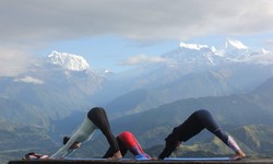 Rishikul Yogshala Nepal Announces 200-Hour Yoga Teacher Training in Pokhara