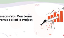 Lessons You Can Learn From a Failed IT Project