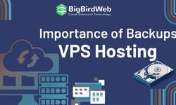 The Importance of Backups in VPS Hosting