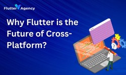 Why Flutter is the Future of Cross-Platform Development: Insights for 2024