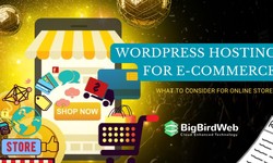 WordPress Hosting for E-commerce: What to Consider for Online Stores