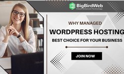 Why Managed WordPress Hosting Could Be the Best Choice for Your Business