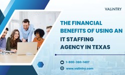 The Financial Benefits of Using an IT Staffing Agency in Texas