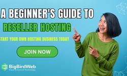 A Beginner’s Guide to Reseller Hosting: Start Your Own Hosting Business Today