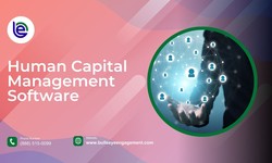A Deep Dive into the Features of Leading Human Capital Management Software