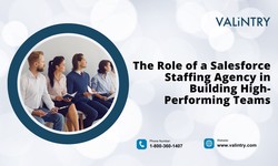 The Role of a Salesforce Staffing Agency in Building High-Performing Teams