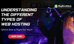 Understanding the Different Types of Web Hosting: Which One is Right for You?