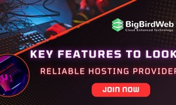Key Features to Look for in a Reliable Hosting Provider