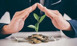 Investment: Building Wealth for the Future