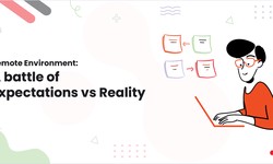 Remote Environment: A battle of Expectations vs Reality