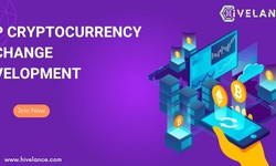 Start Your P2P Crypto Exchange Today - A Proven Path to Crypto Success