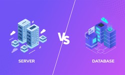 Difference between Server and Database: Your Beginners Guide