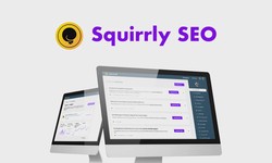 Rank up your WordPress site with data-driven SEO goals from an AI consultant