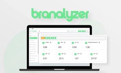 Branalyzer Review 2024: Best Brand Analysis Software Deal