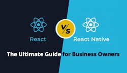 React Native vs ReactJS Development: Pros and Cons for Business Owners