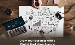 Hoyzic Marketing Agency: Your Partner in Driving Growth and Brand Success