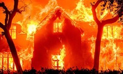 Palisades Fire Mystery: How Visual Evidence Challenges Initial Theories