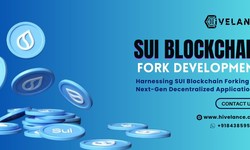 Harnessing SUI Blockchain Forking for Next-Gen Decentralized Applications