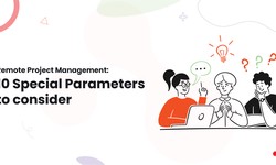 Remote Project Management: 10 Special Parameters to consider
