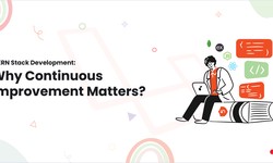 MERN Stack Development: Why Continuous Improvement Matters?