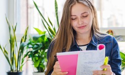 Types of Introduction to Write the Best Opening for Your Assignment