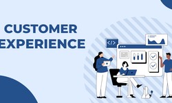 How Customer Experience Drives Business Growth: Real-Life Case Studies