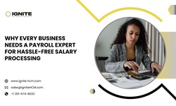 Why Every Business Needs a Payroll Expert for Hassle-Free Salary Processing