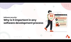 Software security: Why is it important in any software development process