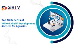 Top 10 Benefits of White Label IT Development Services for Agencies