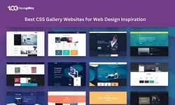 Best CSS Gallery Websites for Web Design Inspiration