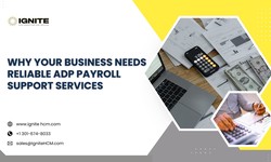 Why Your Business Needs Reliable ADP Payroll Support Services