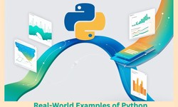 The Successful Real-World Examples of Python in Machine Learning