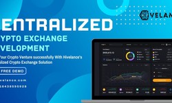 Why Is Centralized Crypto Exchange Software is The Most Preferred Option to Start Your bitcoin Trading Platform