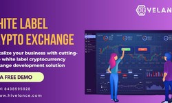 White Label Cryptocurrency Exchange Software: The Fastest Way to Enter the Crypto Market in 2025