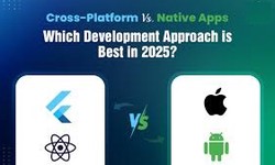 Cross-Platform Development Frameworks vs Native App Development: What to Choose in 2025?