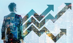 Growexa as a Smart Business Optimization Tool