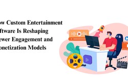 How Custom Entertainment Software Is Reshaping Viewer Engagement and Monetization Models