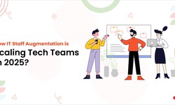 How IT Staff Augmentation is Scaling Tech Teams in 2025?